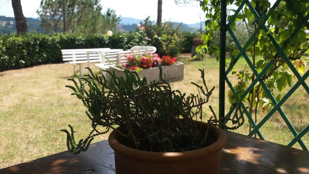 Agriturismo Il Catrino Ponteginori Екстериор снимка