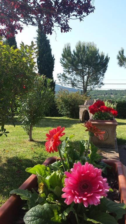 Agriturismo Il Catrino Ponteginori Екстериор снимка