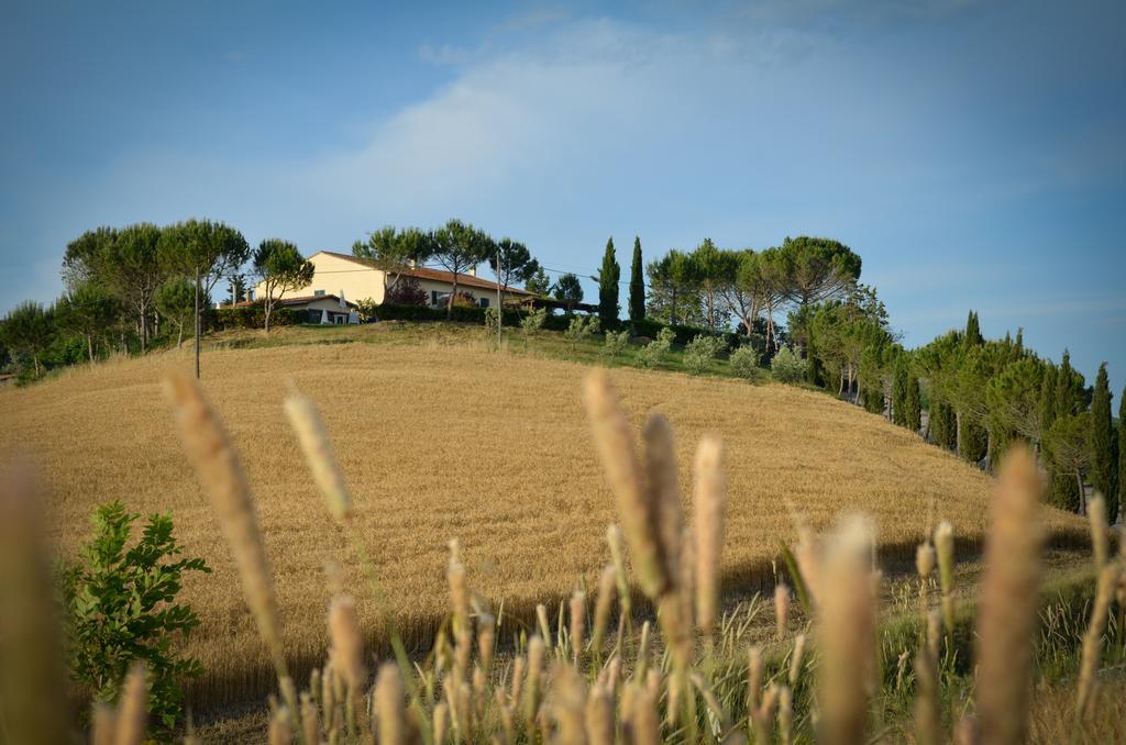 Agriturismo Il Catrino Ponteginori Екстериор снимка