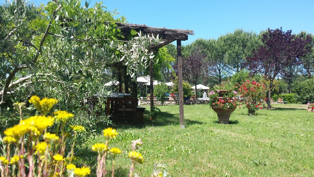 Agriturismo Il Catrino Ponteginori Екстериор снимка