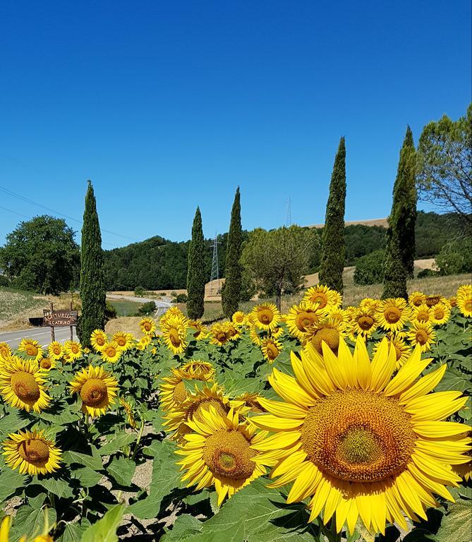 Agriturismo Il Catrino Ponteginori Екстериор снимка